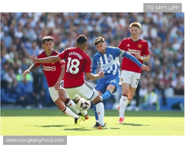 德甲转会市场揭幕，新星加盟展现球队未来布局趋势