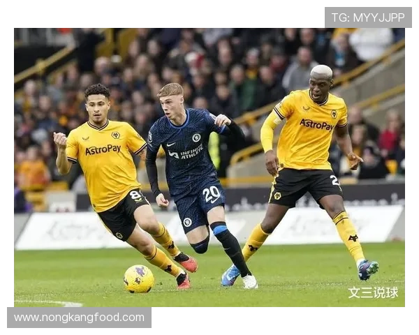 切尔西年轻才俊崛起，状态回暖为英超争冠注入新希望