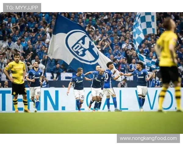 纽卡斯尔联本赛季表现稳健,列维持续提升中场竞争力