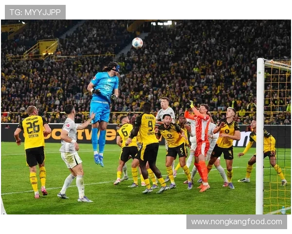 德甲斯图加特引援动向:近期补强策略与阵容竞争力分析 德甲斯图加特引援动向:近期补强策略与阵容竞争力分析