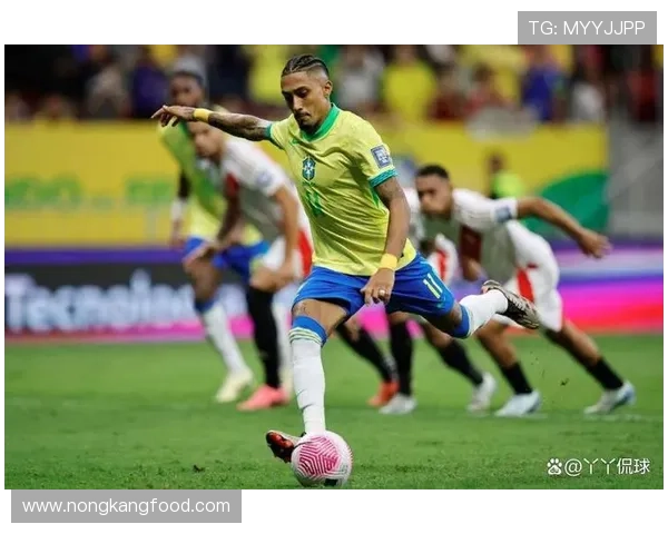 巴拉圭队进攻数据 巴拉圭队进攻数据