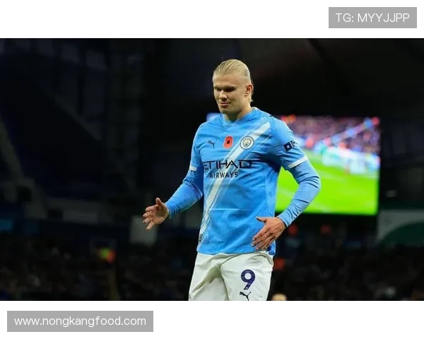 哈兰德触球次数与进球效率分析：低参与高产出的极致模型