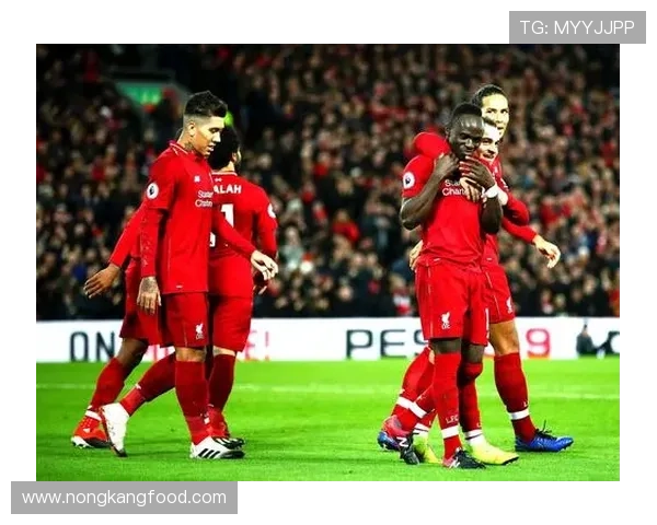 菲利克斯与贝林厄姆:核心型球员的战术角色对比