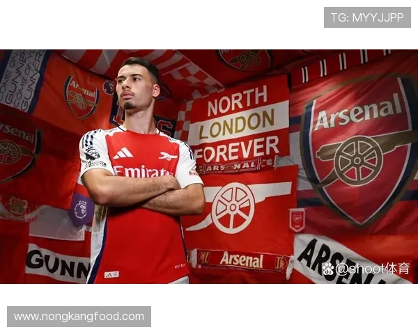 马丁内利在阿森纳争冠赛季的高光表现解析