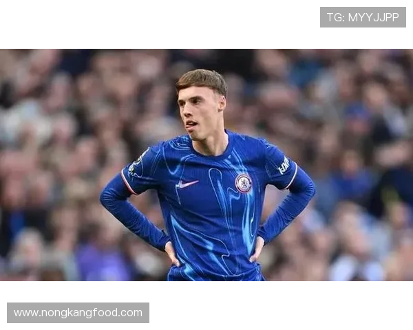 切尔西新核帕尔默的进攻影响力:数据表现与关键创造 切尔西新核帕尔默的进攻影响力:数据表现与关键创造