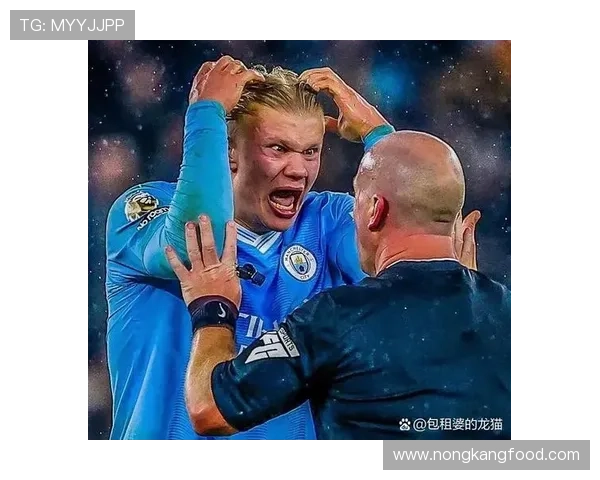 哈兰德强强对话表现稳定性不足? 哈兰德强强对话表现稳定性不足?