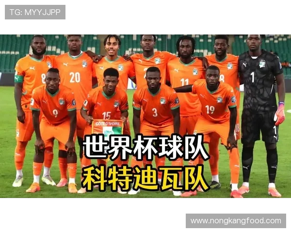科特迪瓦队能否重返2026世界杯？非洲大象冲击美加墨决赛圈前景分析